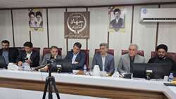  موفقیت الگوی کشت در گرو بازارمحوری و افزایش درآمد کشاورزان